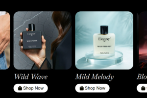 Elegoy Perfume Review